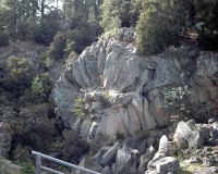 /album/v-edicion-2004-2005-fotografias-ganadoras-/a3%c2%ba-dig-la-gran-margarita800-jpg/