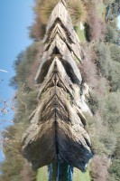 /album/ix-edicion-2008-09-fotografias-ganadoras-/totem800-jpg/